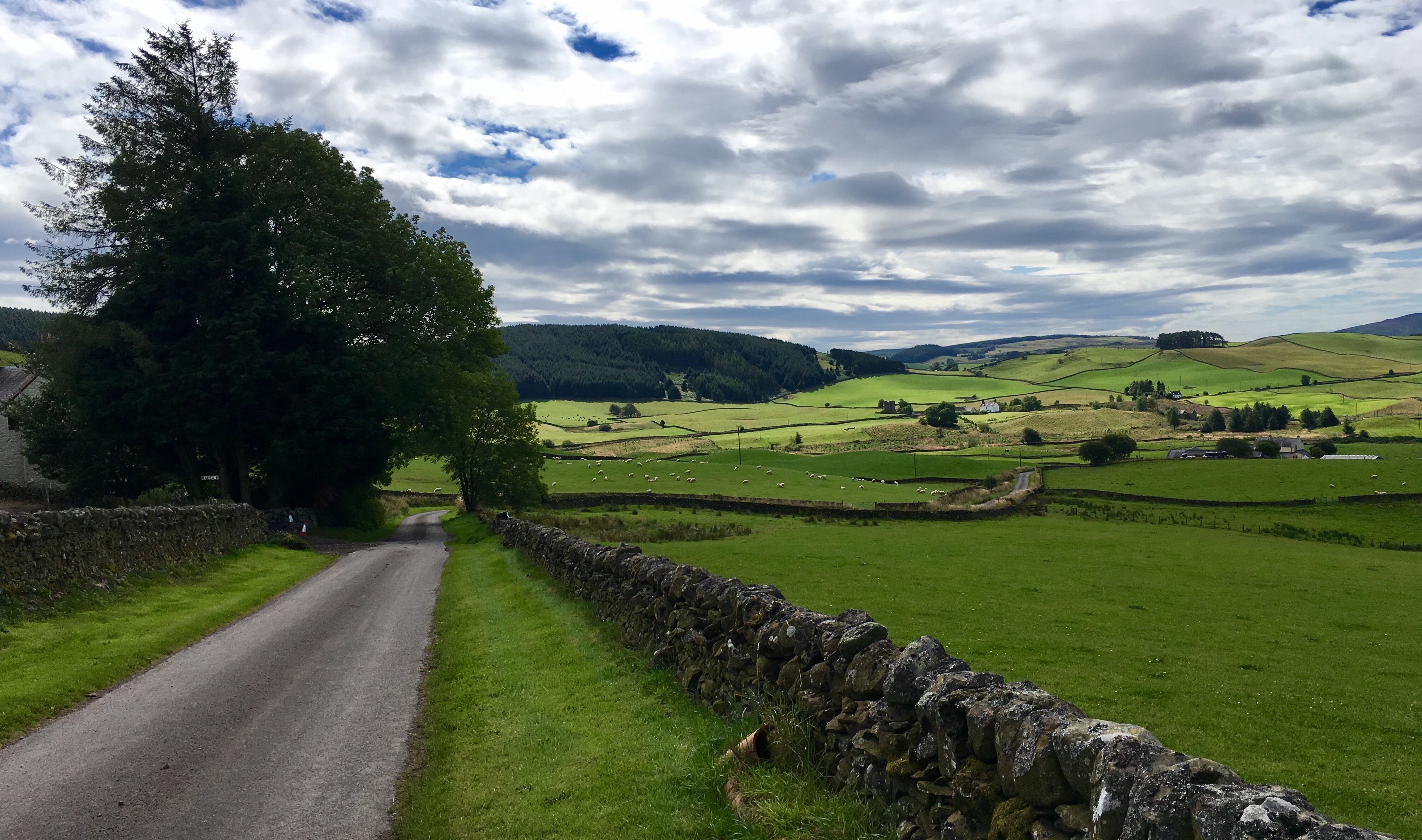 Countryside view from Auldgirth, during the Southern Uplands Audax 2017